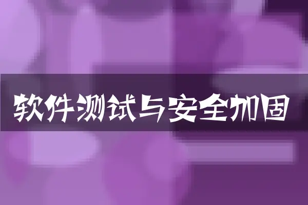 软件测试与安全加固