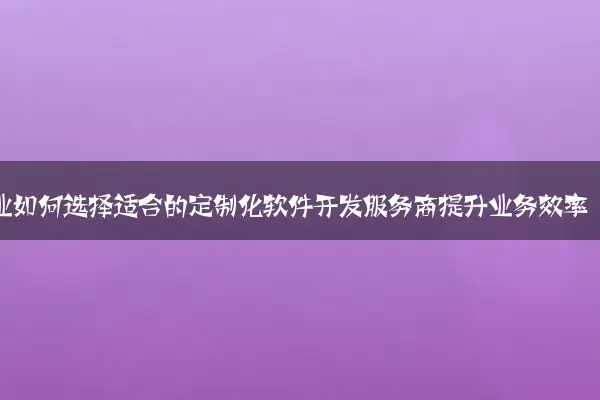 企业如何选择适合的定制化软件开发服务商提升业务效率