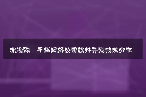 北海珠一手搭网络公司软件开发技术分享