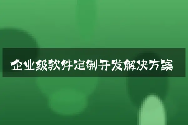 企业级软件定制开发解决方案