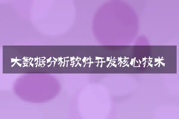 大数据分析软件开发核心技术