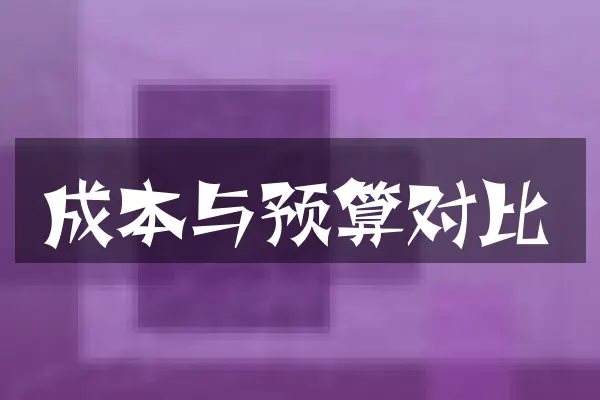 成本与预算对比